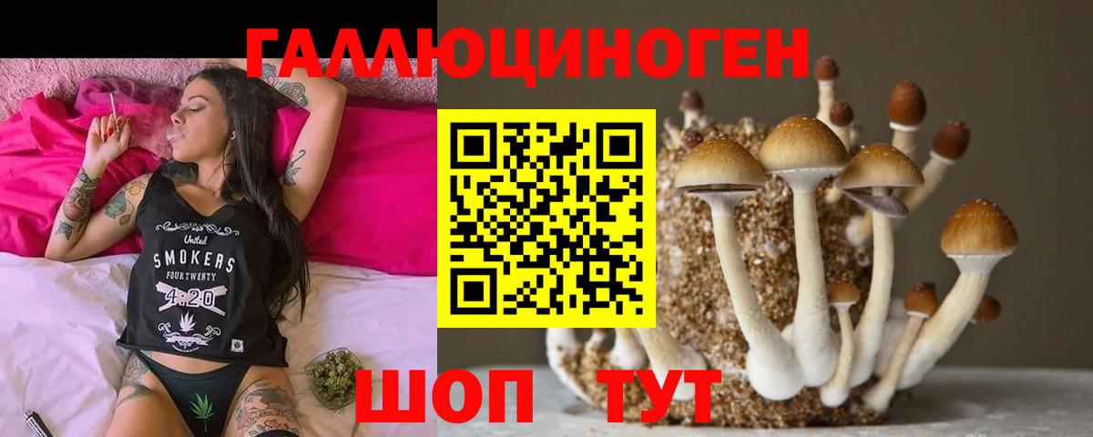 Тольятти  Галлюциногенные грибы MAGIC MUSHROOMS  цена   Галлюциногенные грибы мицелий  Вход с VPN 